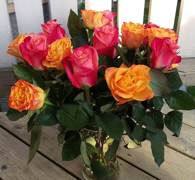Free Roses Flowers photo and picture