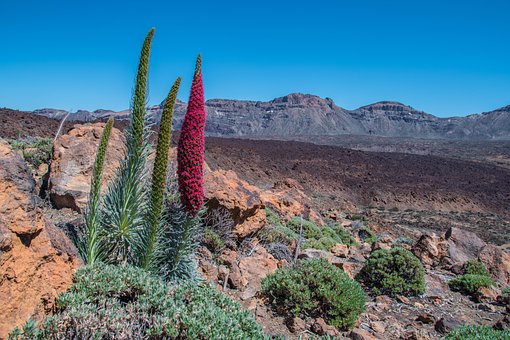 Tenerife, Teide National Park, Volcano