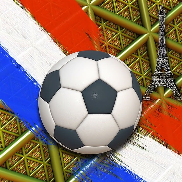 Free european championship soccer france illustration