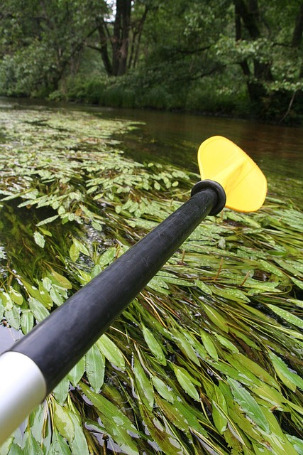 Free Kayaks Flow photo and picture