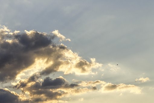 Free Sky Kite photo and picture
