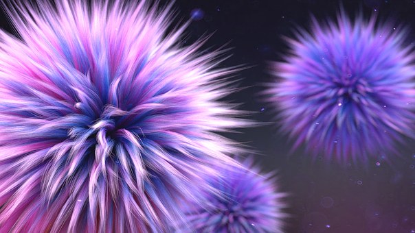 Free Furry Puff illustration and picture