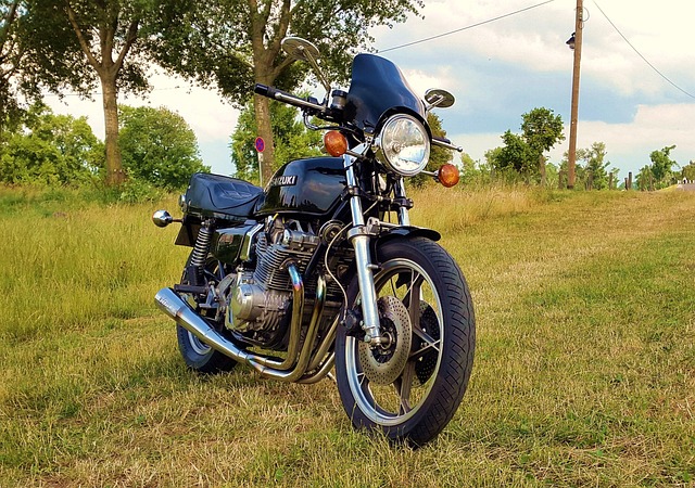 Free Motorcycle Meadow photo and picture