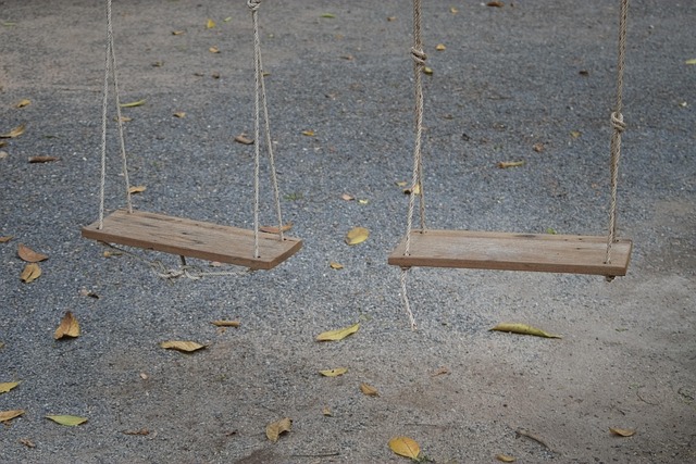 Free Swing Playground photo and picture