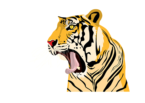 Free Tiger Roaring illustration and picture