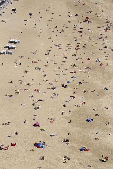 Free Beach Sand photo and picture