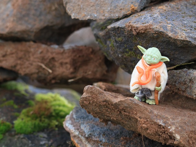 Free Yoda Star Wars photo and picture