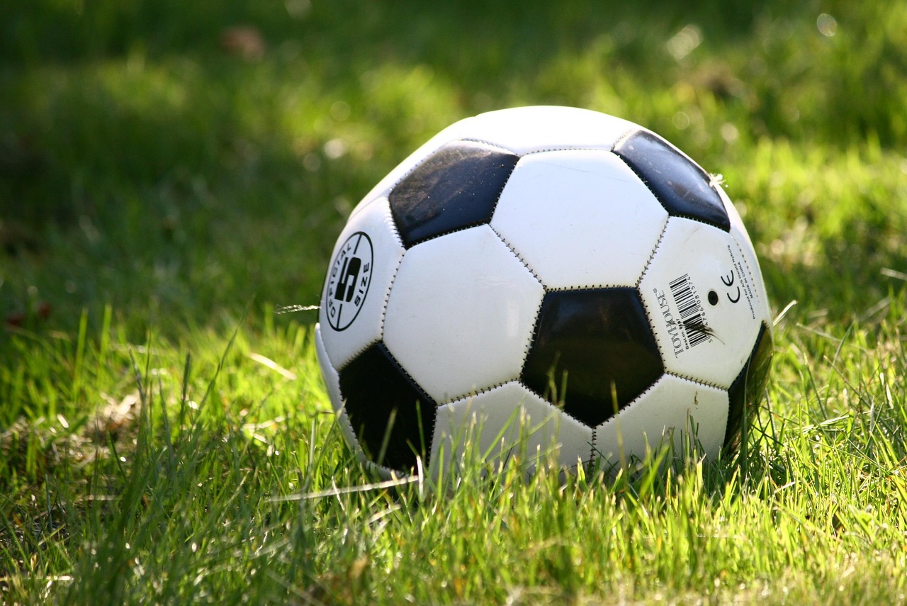 Meer Dan 6 000 Gratis Afbeeldingen Van Voetbal En Sport Pixabay Meer Dan 6 000 Gratis Afbeeldingen Van Voetbal En Sport Pixabay