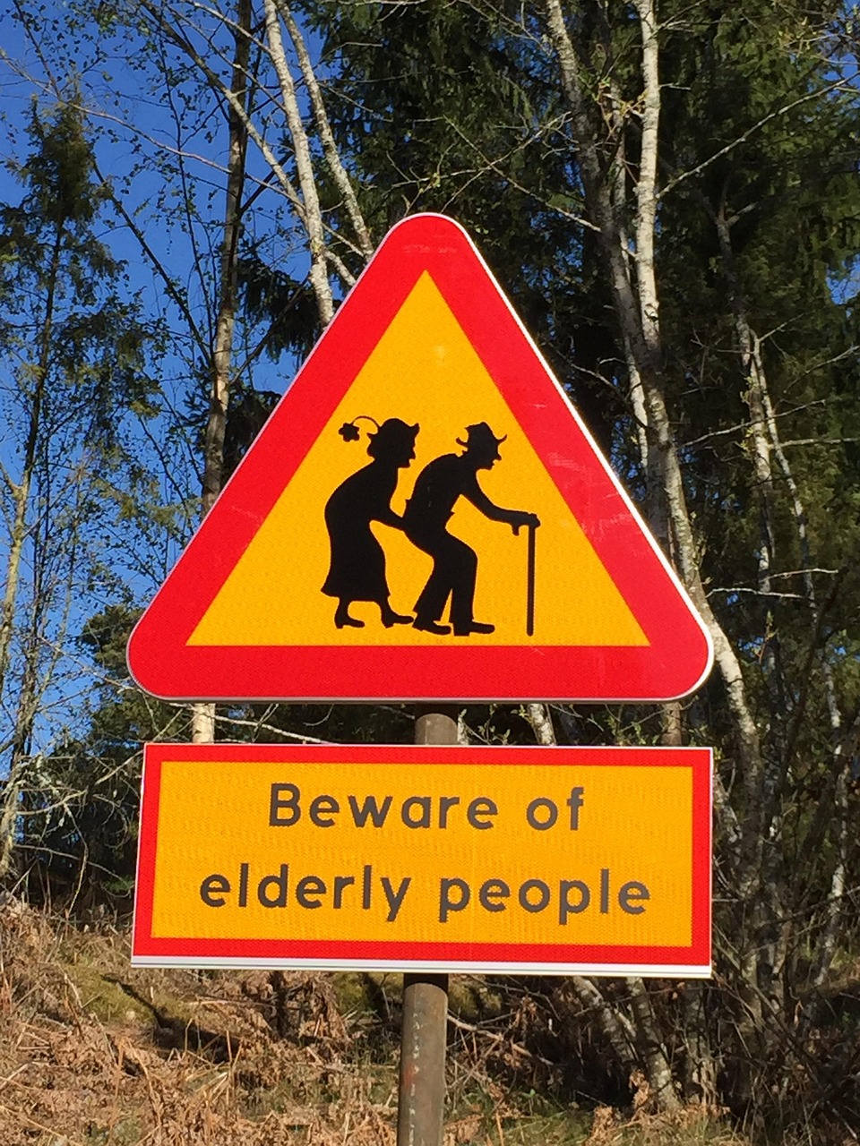 How To Sign Older How To Sign Older