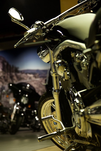 Motorcykel, Skinne, Harley Davidson