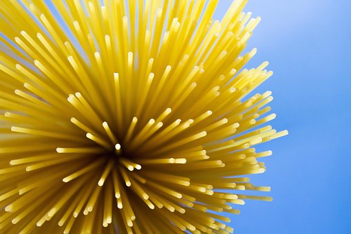 Free Spaghetti Pasta photo and picture