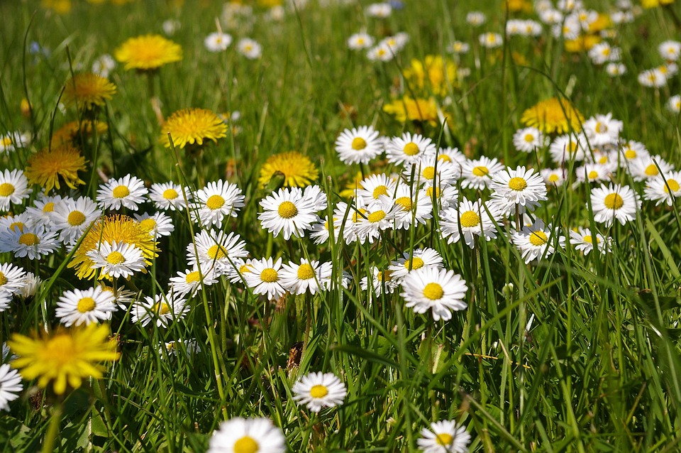 Spring