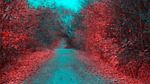 trope, in the forest, alley