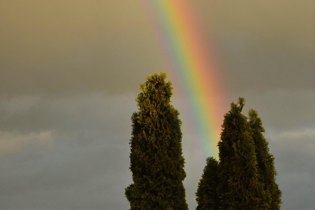 Free Rainbow Light photo and picture