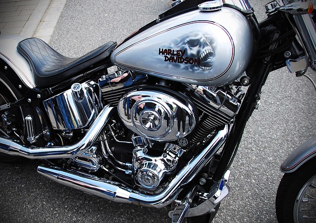 Free Harley Davidson Motorcycle photo and picture