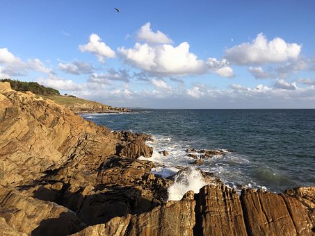 Meer, Fels, Bretagne, Wolke, Vogel