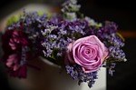 rose, pink, floral arrangement