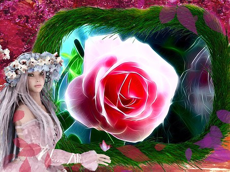 Free Rose Pink illustration and picture