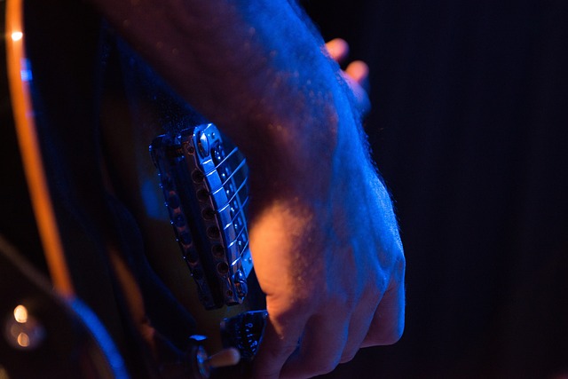 Free Guitar Closeup photo and picture