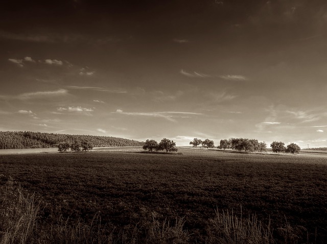 Sepia, Tre, Sommer, S W, Romantisk