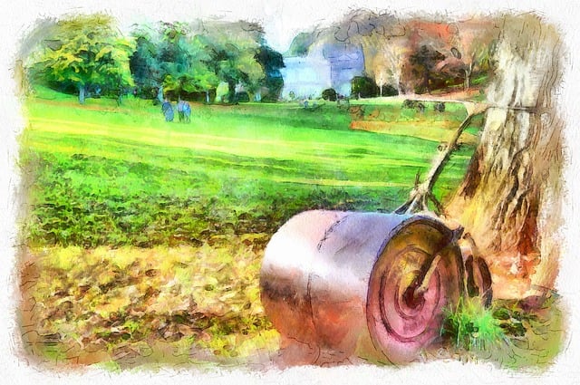 Cockington Park, Garten, Gras, Natur