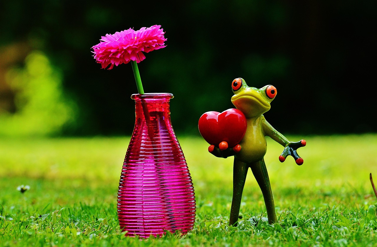 Frog - free online jigsaw puzzle photo