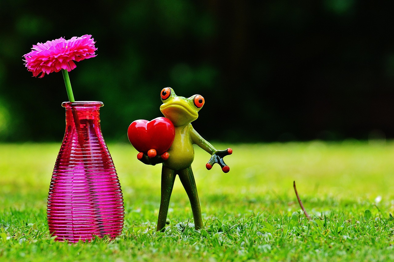 Frog - free online jigsaw puzzle photo