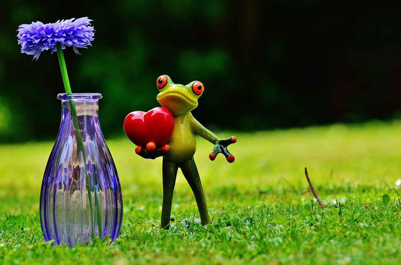 Frog - free online jigsaw puzzle photo