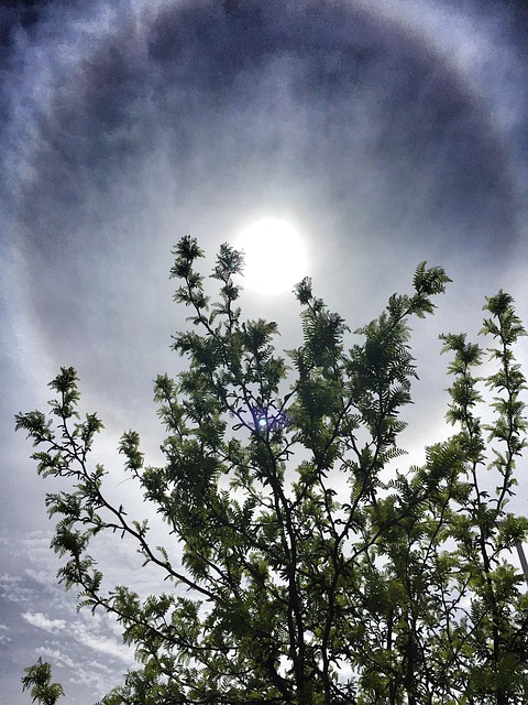 Free Sun Sky photo and picture