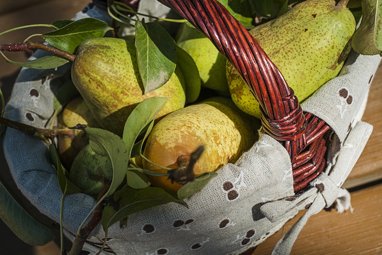 Still Life - free online jigsaw puzzle photo
