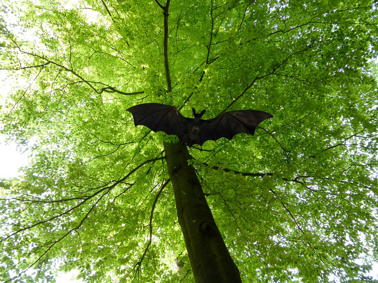 Bat Figure Deciduous Tree Light - Free photo on Pixabay