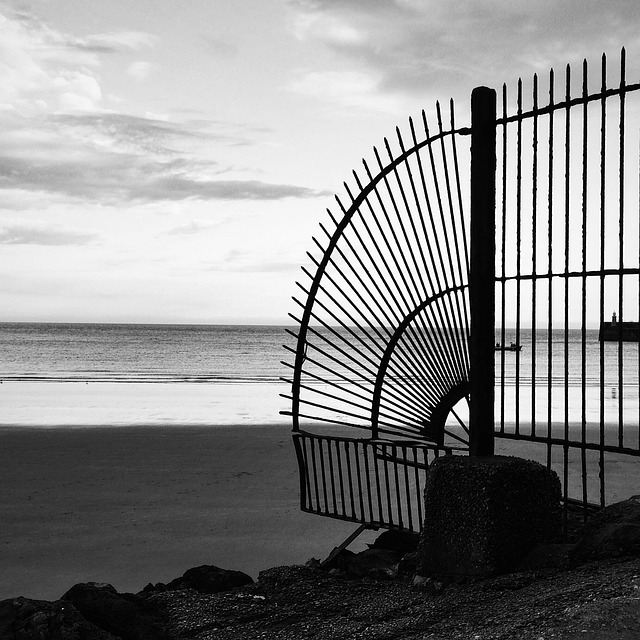 Free Sea Beach photo and picture