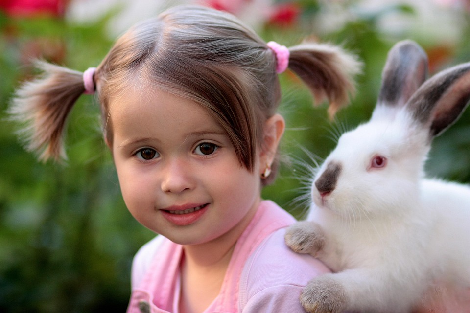 Girl, Rabbit, Friendship, Love, Supplies