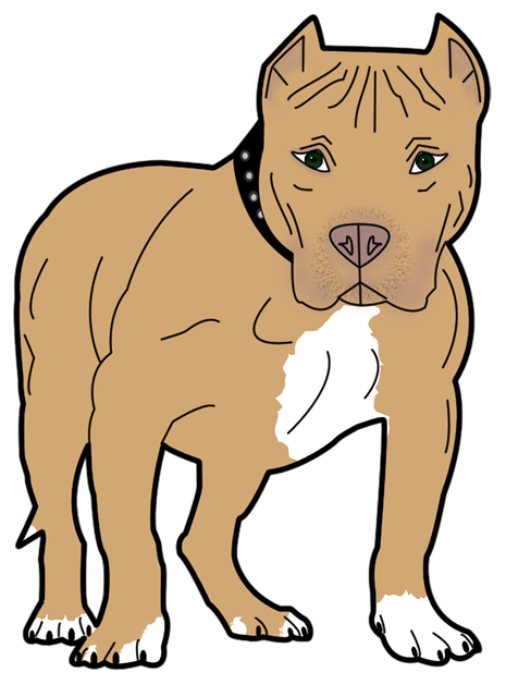 Hund, Dyr, Kjæledyr, Hjørnetann, Okse