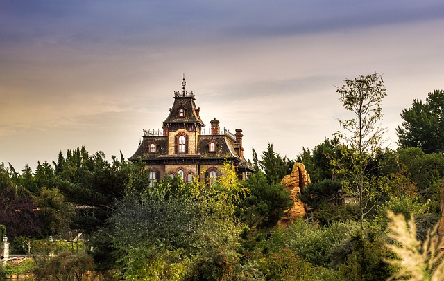 Free Disneyland Paris photo and picture