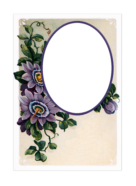 Free vintage postcards nature illustration