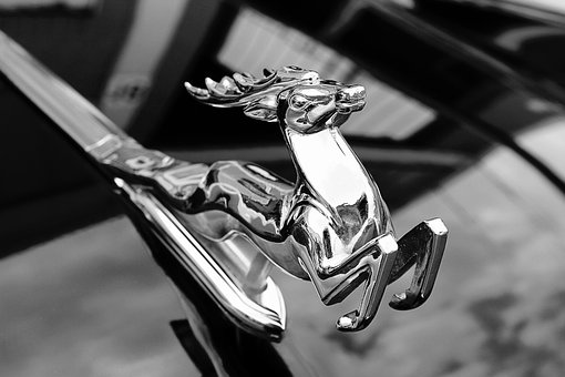 Free Figure Deer photo and picture