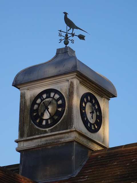 Free Clock Tower Clock photo and picture