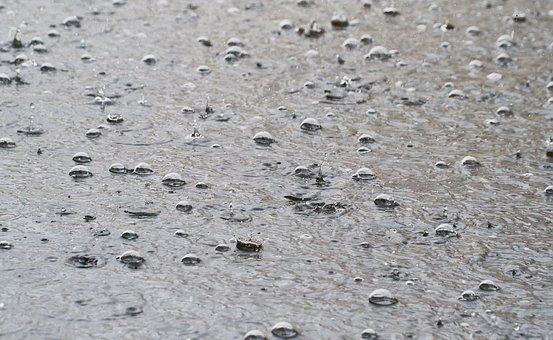 Free Rain Water photo and picture