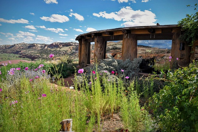 Free Coffee House Utah photo and picture