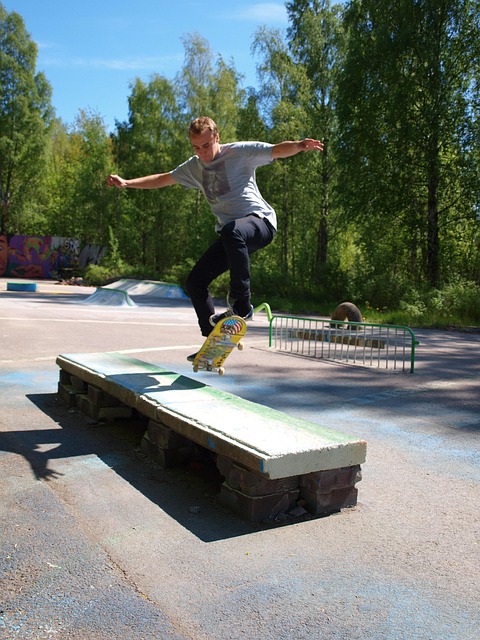 Free Skate Board photo and picture