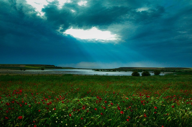 Highlights, Licht, Landschaft