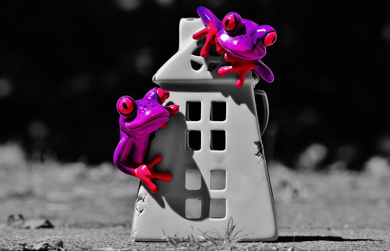 frogs-1415334_1280.jpg