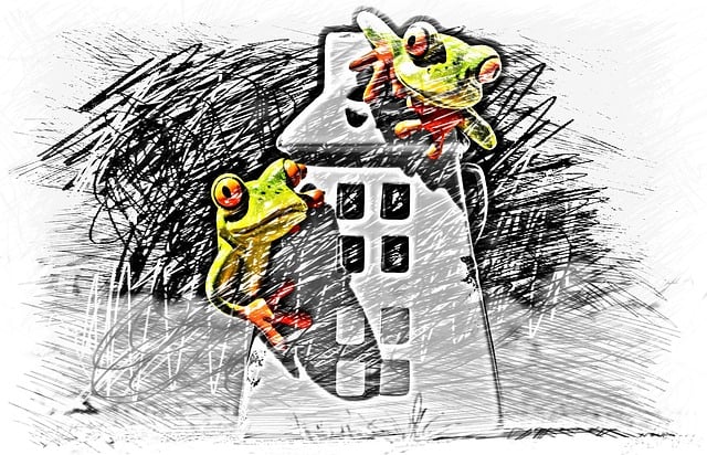 Free frogs house fun illustration