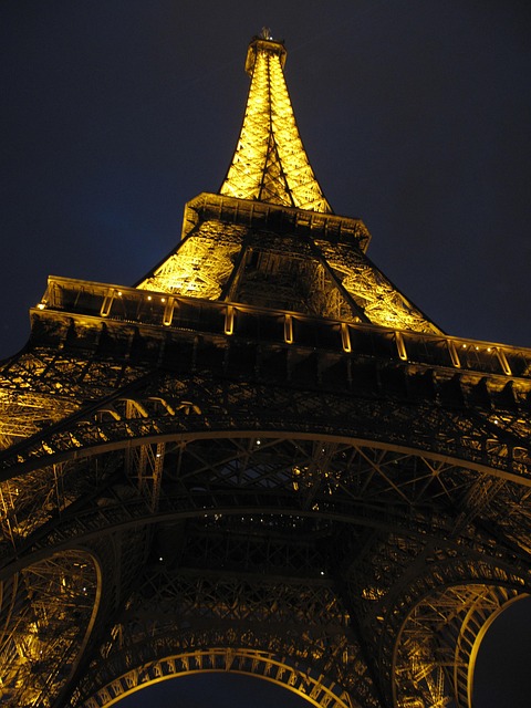 Free Eiffel Tower Night photo and picture