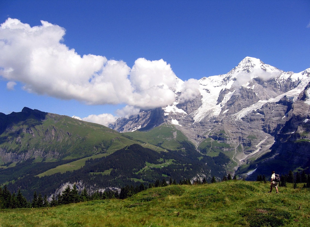 Hiker with backpack on green alpine meadow viewing majestic snow-covered mountain peak, forested slopes, and white clouds under clear blue summer sky.