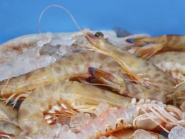 Proan Fish Prawns Fresh Fish Mediterranean - Free photo on Pixabay - Pixabay