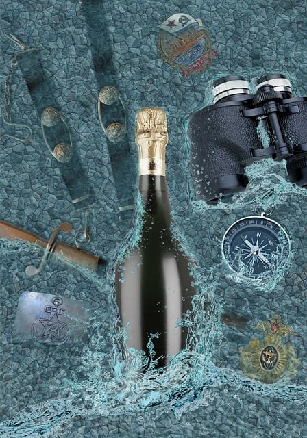 Free champagne bottle sea illustration
