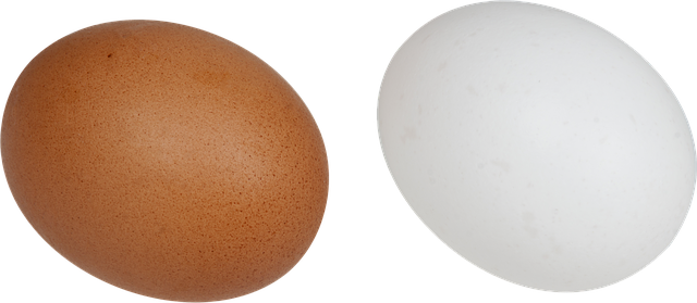 Free eggs white brown illustration