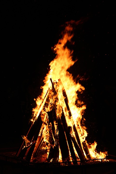 Kostenloses Foto: Feuer, Holz, Lagerfeuer, Flamme - Kostenloses Bild